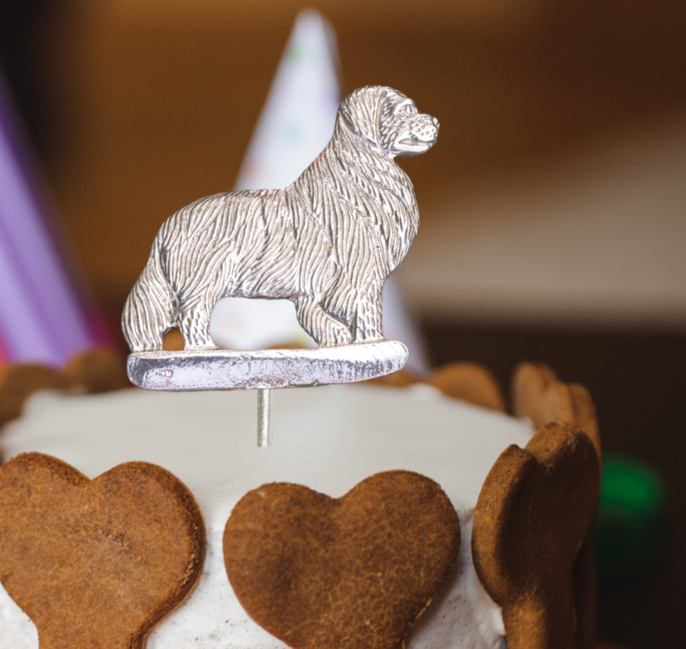 Dog Birthday Cake - Dog Bone – golden BARKery